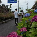 서귀포농업협동조합법환지점 이미지