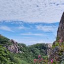 8월16일(일) 속리산(천왕봉~법주사) 국립공원 BAC100대명산 이미지