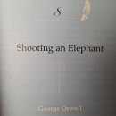 [영미산문] 10강, 11강 Shooting an Elephant 노트정리 / 2021-1학기