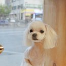 별난동물병원 이미지