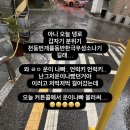 청소년 성장 락 뮤지컬 의자뺏기 | 즐기는 그 모든 것이 정답이고 진리일지어다 [7월 관극 정산]