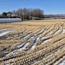 오박사마을 이미지