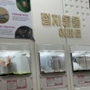 가-31 | 시흥 아이랑 가볼만한곳 벅스리움 31개월 아기 솔직후기
