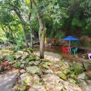 티하우스키즈펜션 이미지