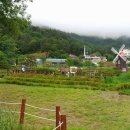 대청호반 이미지