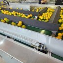 제주남원농협사업소 이미지