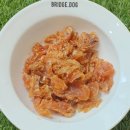 장수멍냥 이미지