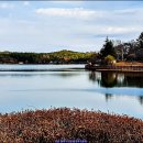 은파호수공원 이미지