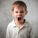 푸른체육관 이미지