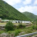 수한농장 이미지