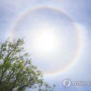 햇무리 이미지