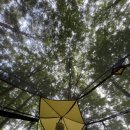 덕유대7영지매점 이미지