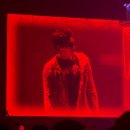 우즈독 | 우즈야 나랑 친구하자