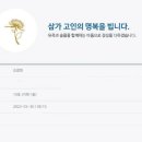 영진치과의원 네이버블로그