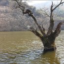 청송수산 이미지