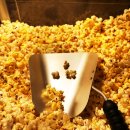 케이스타호텔 이미지