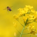 색달동-16 이미지