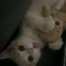 좌동순환로 402번길 10 이미지