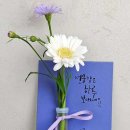 이담꽃집수원