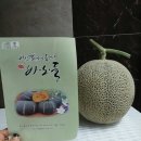 바노마트 이미지