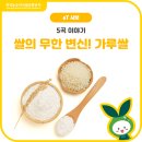 돌마로476번길 이미지