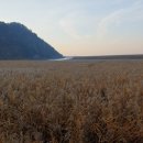 동산축사 이미지