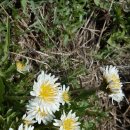 장기 산골농장 이미지