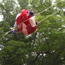 숲쟁이로 이미지