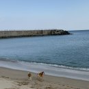 가족독채펜션편한대로 이미지