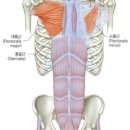 한서메디칼 이미지