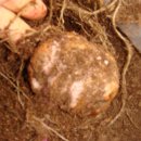 마르코농장 이미지