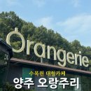 원대 수목원 | 서울근교 수목원 카페, 양주 대형카페 오랑주리 솔직후기