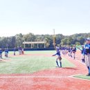 태장체육단지 야구장 이미지