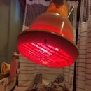 제민당한의원 이미지