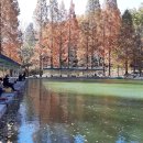 벌곡낚시터 이미지