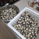 내 삶의 레시피 - 詩 | 고향사랑 기부제 답례품 어떤거 받을까? / 벌교꼬막 수령후기 / 요리레시피