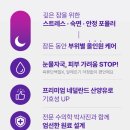 e-편한덴탈 | 강아지영양제 고를 때 주의점! 밤 전용 올인원이 편한 이유