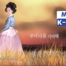 비단(VIDAN)