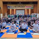 세종중고등학교 이미지