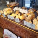 브레드창 이미지