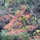 설악산 등선대.폭포.흘림골.여심폭포.오색약수 산행 이미지