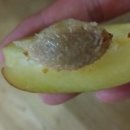 메타 동물의료센터 이미지