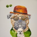 제주브리더서비스 이미지