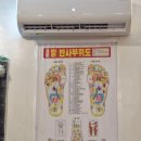 발편한세상 | [필리핀] 보홀 풋스파 추천 발편한세상 내돈내산 픽업 마사지샵 가격