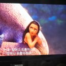 홍선생도시락 이미지