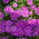 해이 민박 이미지