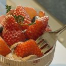 서초구 교대역 카페 딸기 디저트 맛집 :: 아워헤르츠
