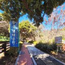 여명로25번길 이미지