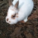 사랑스런 나의 가족 이미지