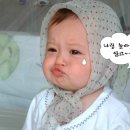 애기야 이미지